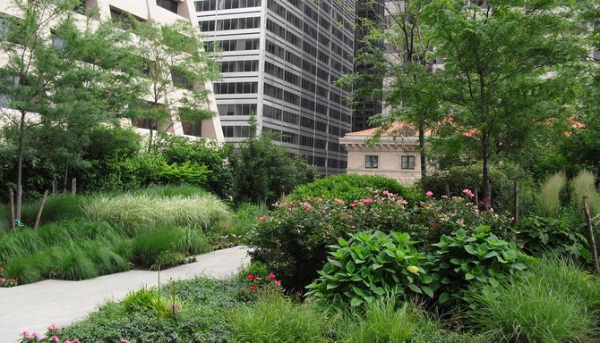 55 Water Street - The Elevated Acre